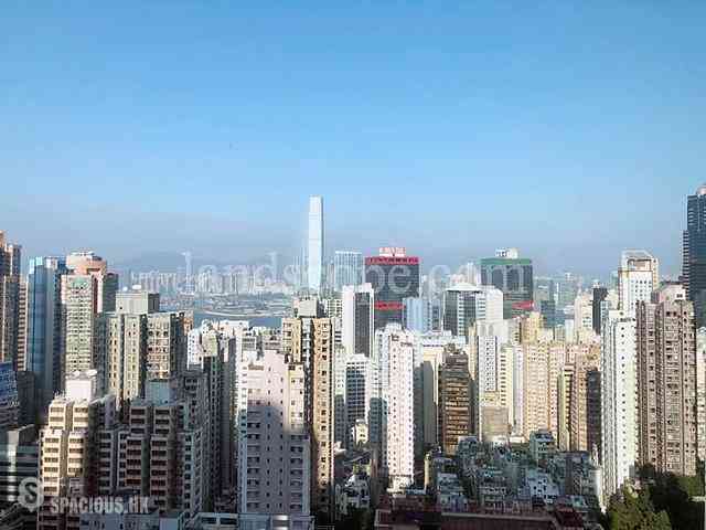 西半山 - 罗便臣道80号 01