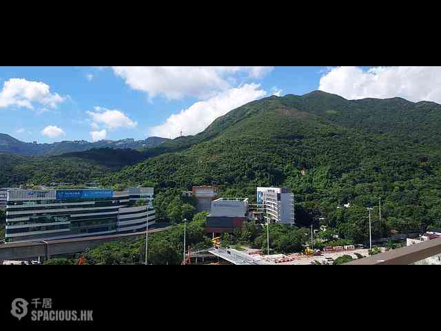 寿臣山 - Shouson Peak 17