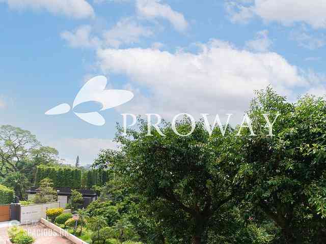 The Peak - Stewart Terrace 02