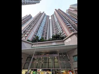 北角 - 港运城 12