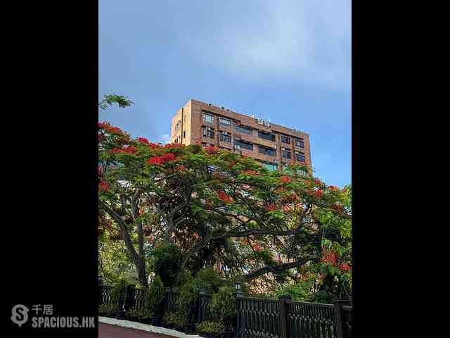 Pok Fu Lam - Honey Court 01