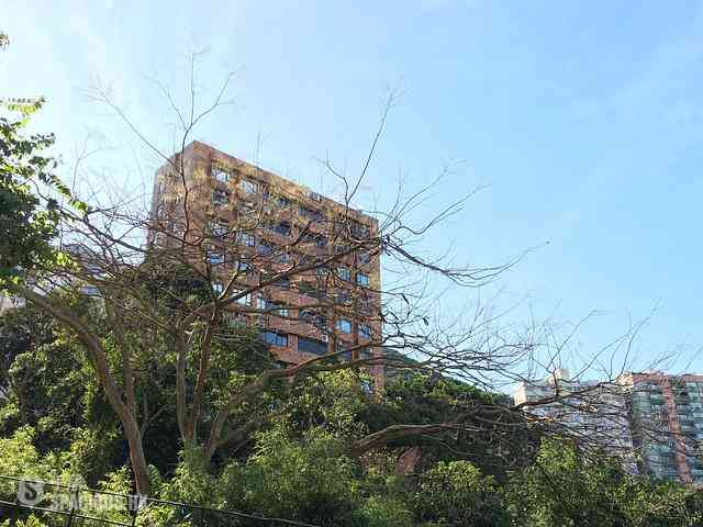 Pok Fu Lam - Honey Court 02