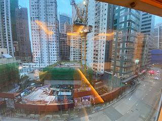 Sai Ying Pun - Macro Garden 09