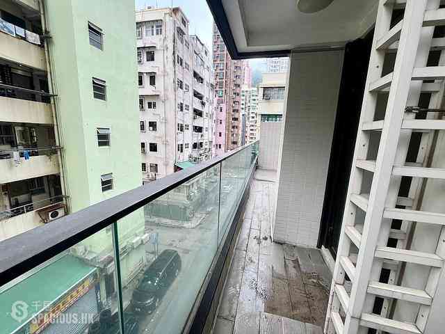 Tai Hang - Coho 11