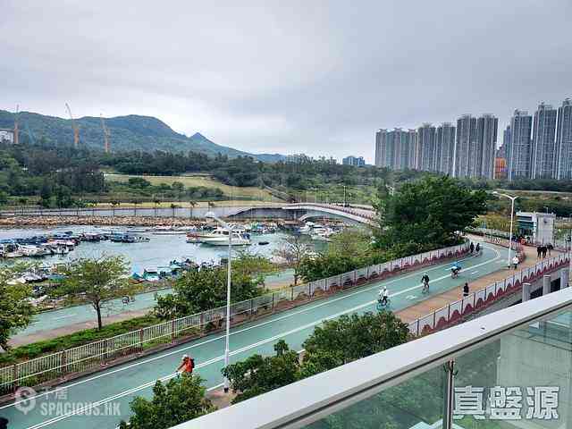 Tseung Kwan O - Savannah 12
