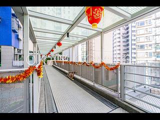 Central - Hollywood Terrace 14