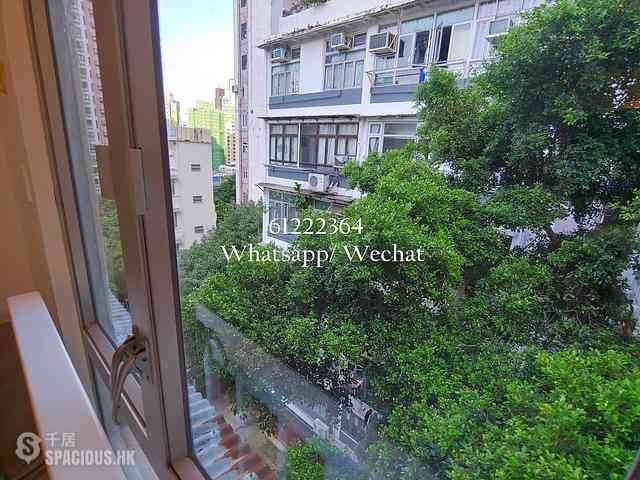 Poho - 8, Tai On Terrace 15