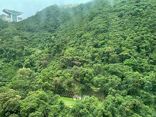 中半山 - 晓峰阁4座 11
