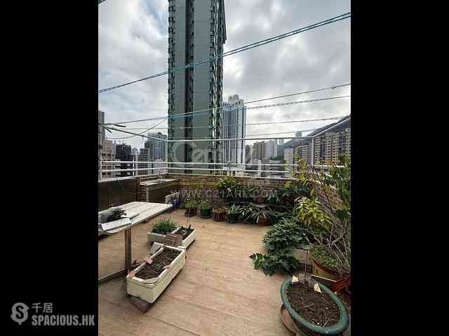 Wan Chai - Starlight Garden 01