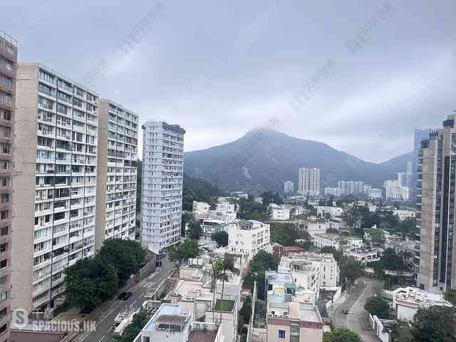 Jardines Lookout - Butler Towers 04