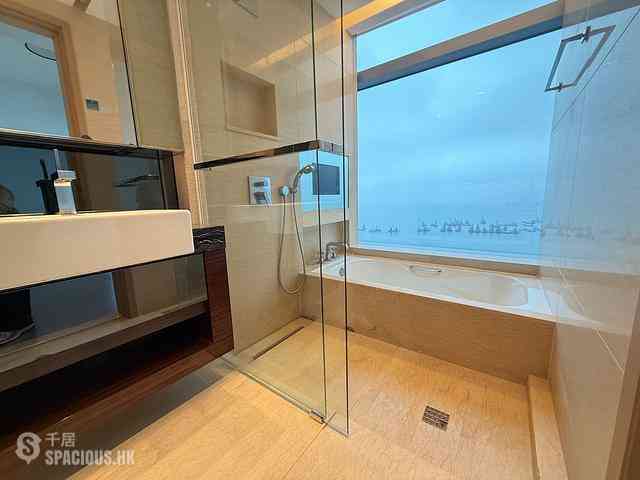 West Kowloon - The Cullinan (Tower 21 Zone 2 Luna Sky) 07