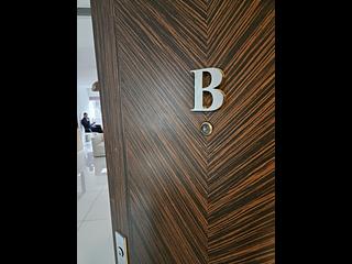 Pok Fu Lam - Villa Cecil Phase 3 07