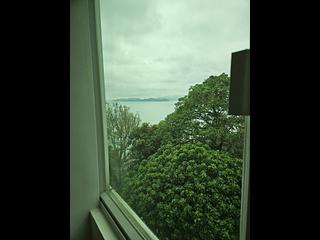 Pok Fu Lam - Villa Cecil Phase 3 12