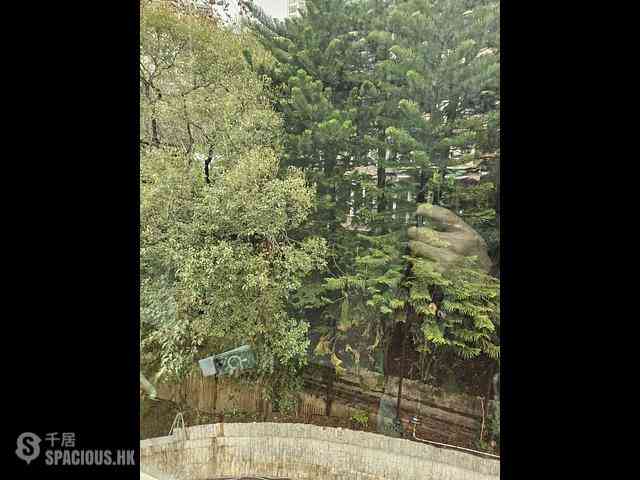 Pok Fu Lam - Villa Cecil Phase 3 18
