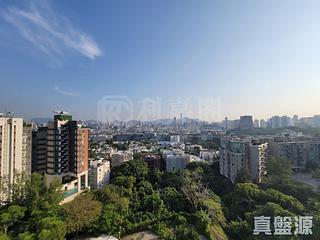 Beacon Hill - Luso Apartments 06