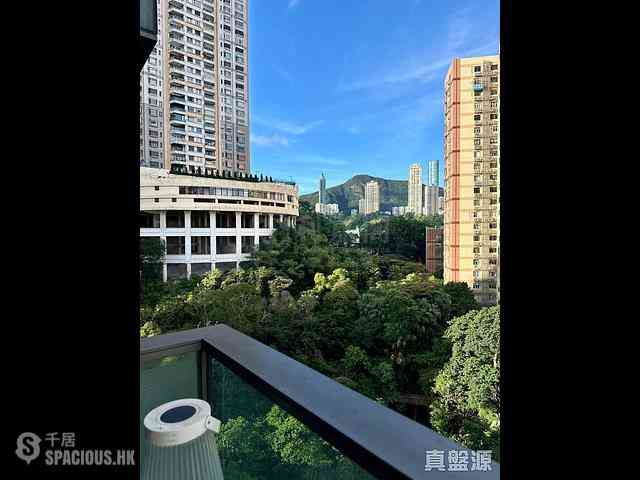 Causeway Bay - Jones Hive 01