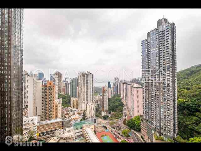 大坑 - 名门 12