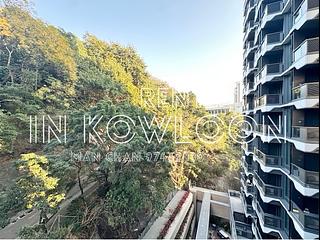 Cheung Sha Wan - The Paddington 03
