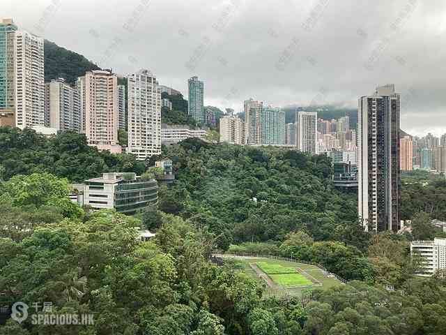 東半山 - 萬信台 24