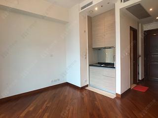 Wan Chai - The Avenue Phase 2 10