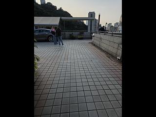 司徒拔道 - 東山臺12號 17