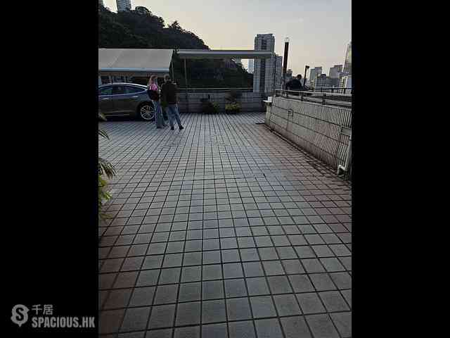 司徒拔道 - 東山臺12號 17