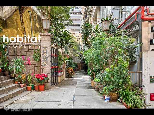 Poho - 普庆阁 11
