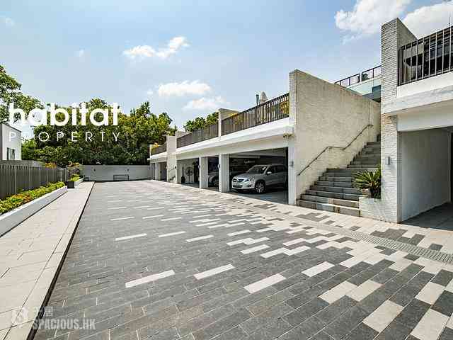 South Lantau - Michelia 04