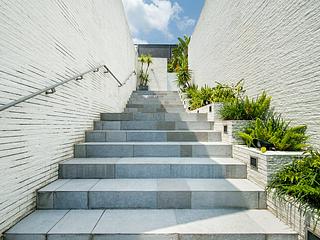 South Lantau - Michelia 06