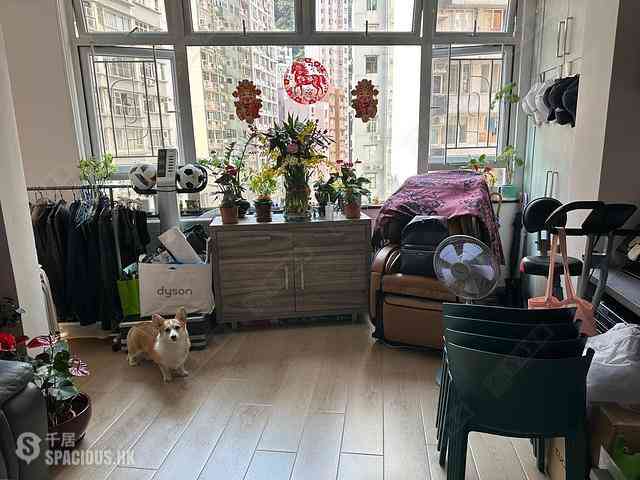 Happy Valley - Zenith Mansion 01