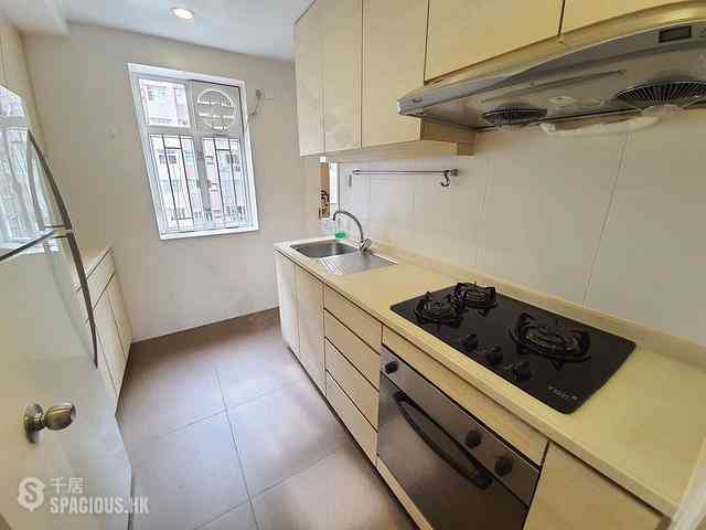 Stubbs Road - Sheffield Garden 09