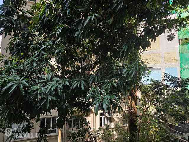 Sai Ying Pun - 1C, High Street 01