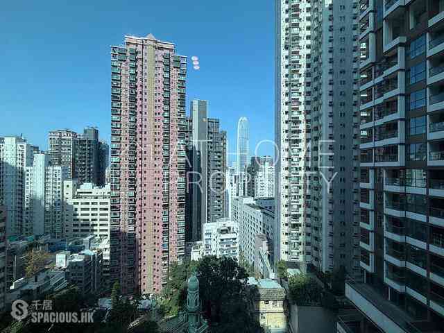 Mid Levels Central - Peach Blossom 10