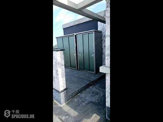 大坑 - 柏园 11