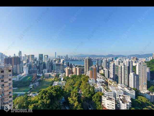 大坑 - 柏园 01