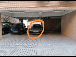 司徒拔道 - 文華新邨 東座 06