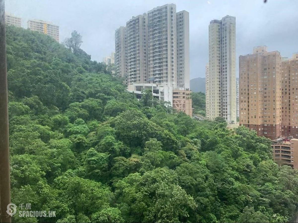 Tai Hang - Ronsdale Garden 01