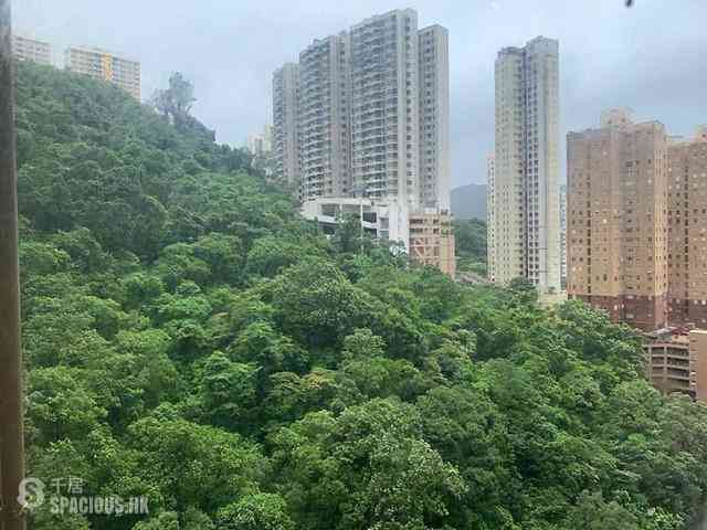 Tai Hang - Ronsdale Garden 01