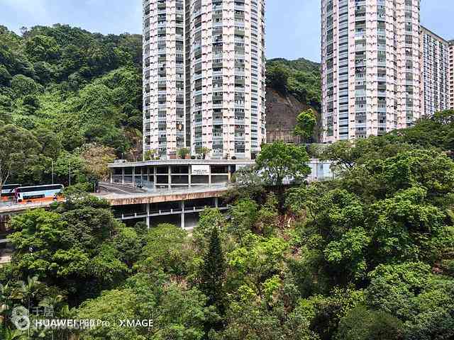 Tai Hang - The Jolly House 06