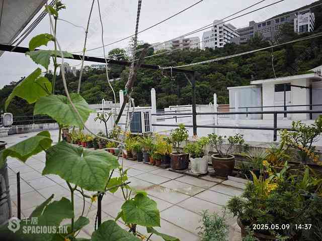 Happy Valley - 5-8, Briar Avenue 03