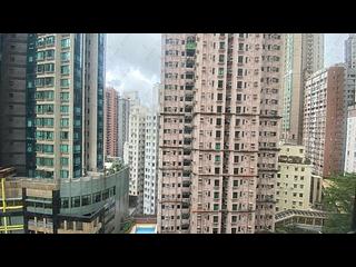中半山 - 棕櫚閣 06