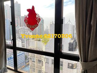 Poho - Rich View Terrace 03