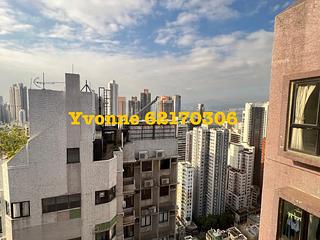 Poho - Rich View Terrace 08