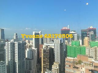 Poho - Rich View Terrace 03