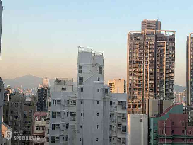 Sai Ying Pun - Hansen Court 02