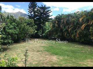 Sai Kung - Sha Kok Mei 10