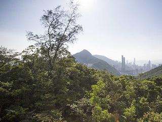 大潭 - 阳明山庄 11