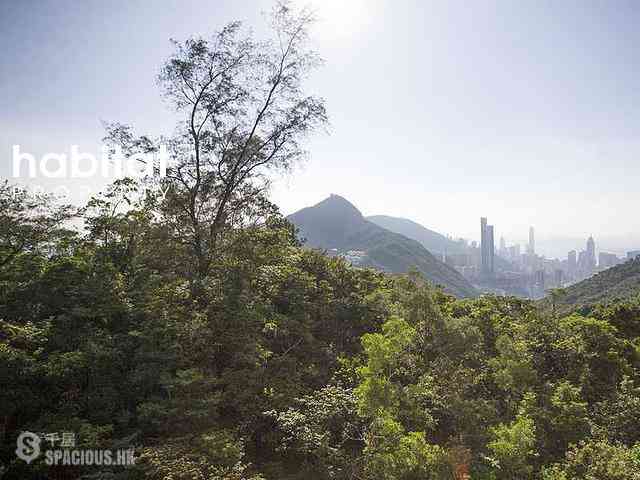 大潭 - 阳明山庄 11