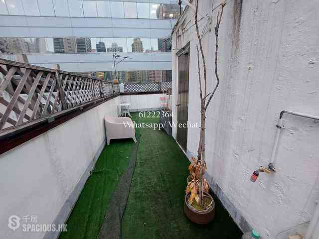 Poho - 23, New Street 11