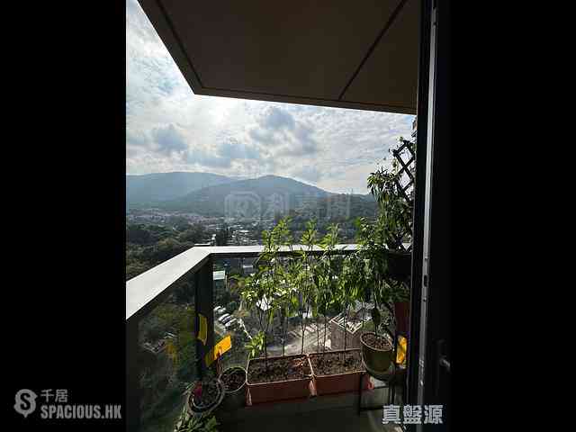 Tai Po - The Regent Block 1 07